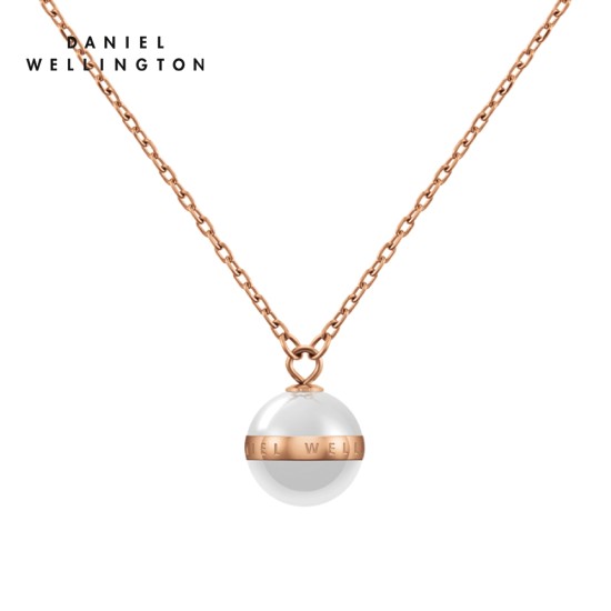 Daniel Wellington Aspiration Necklace DW00400157